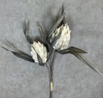 گل بلندر