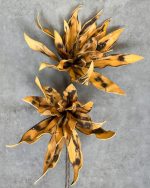 گل بلندر